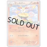 テールナー【P】{237/XY-P}