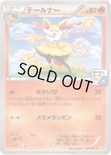 テールナー【P】{237/XY-P}