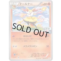 テールナー【P】{237/XY-P}