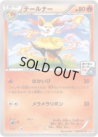 テールナー【P】{237/XY-P}