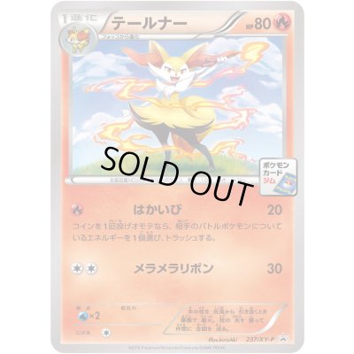 画像1: テールナー【P】{237/XY-P}