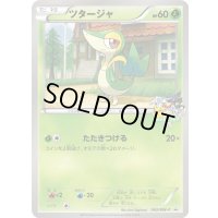 ツタージャ【P】{042/BW-P}