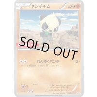 ヤンチャム【P】{260/XY-P}