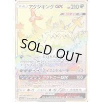 アクジキングGX【HR】{058/050}