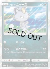 〔状態B〕アローラニャース【P】{010/SM-P}