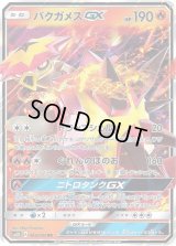 〔状態A-〕バクガメスGX【RR】{009/050}