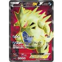 〔状態B〕バンギラスEX【SR】{089/081}