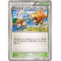 〔状態B〕チャンピオンズフェスティバル(2013)【P】{BW-P}