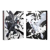 〔状態A-〕コレクションファイルプレミアム『ゼクロム・レシラム』【サプライ】{-}