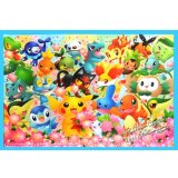 デッキシールド『ポケモンセンター20周年記念』64枚入り【サプライ】{-}