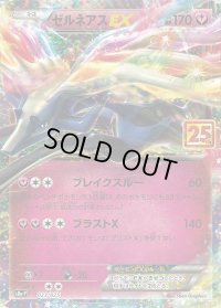 〔状態B〕ゼルネアスEX(25th)【P】{023/025}