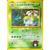 〔状態A-〕エリカのフシギバナ LV.45【★】{旧裏}