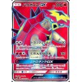 〔状態A-〕バクガメスGX【SR】{051/050}