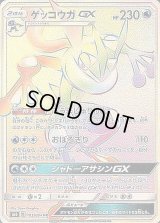 〔状態A-〕ゲッコウガGX【HR】{103/094}