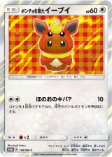 〔状態C〕ポンチョを着たイーブイ(BS)【P】{139/SM-P}