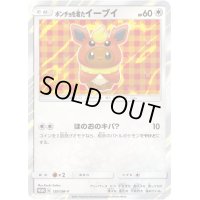 〔状態A-〕ポンチョを着たイーブイ(BS)【P】{139/SM-P}
