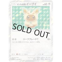 〔状態A-〕ポンチョを着たイーブイ(LF)【P】{142/SM-P}