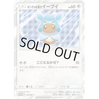 〔状態A-〕ポンチョを着たイーブイ(GC)【P】{143/SM-P}