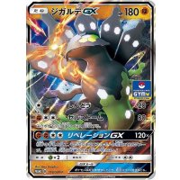 〔状態A-〕ジガルデGX【P】{216/SM-P}