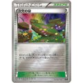 次元の谷(ミラー/ハイクラスパック仕様)【-】{156/171}