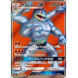 〔状態B〕カイリキーGX【SR】{053/049}