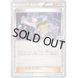 カリン【P】{256/XY-P}