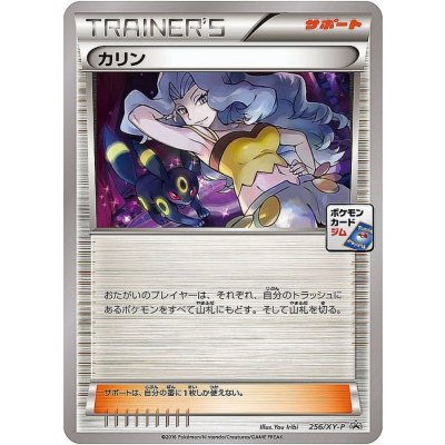 〔状態A-〕カリン【P】{256/XY-P}
