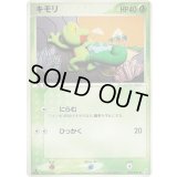 キモリ【●】{005/075}