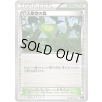 巨大植物の森【-】{154/171}