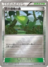 巨大植物の森(ミラー/ハイクラスパック仕様)【-】{154/171}