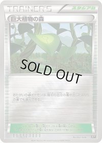 〔状態B〕巨大植物の森(ミラー/ハイクラスパック仕様)【-】{154/171}