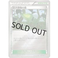 〔状態B〕巨大植物の森(ミラー)【-】{127/131}
