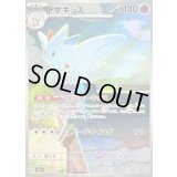 〔状態B〕トゲキッス【AR】{203/193}