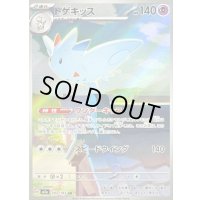 〔状態B〕トゲキッス【AR】{203/193}