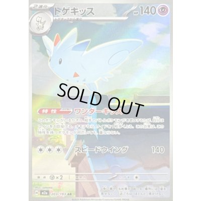 画像1: 〔状態C〕トゲキッス【AR】{203/193}