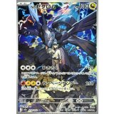 Nのゼクロム【AR】{210/193}