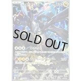 〔状態B〕Nのゼクロム【AR】{210/193}