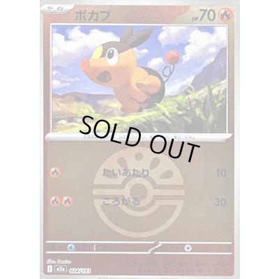 画像1: 〔状態B〕ポカブ(フレンドボールミラー)【-】{024/193}