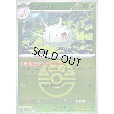 画像1: 〔状態B〕カラサリス(ラブラブボールミラー)【-】{005/193}