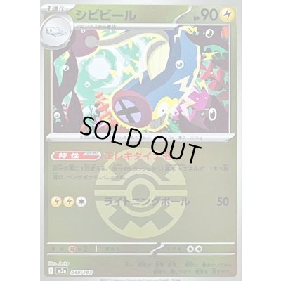 画像1: 〔状態B〕シビビール(クイックボールミラー)【-】{048/193}