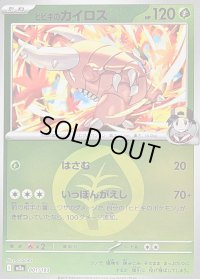 〔状態B〕ヒビキのカイロス(草エネルギーミラー)【-】{001/193}