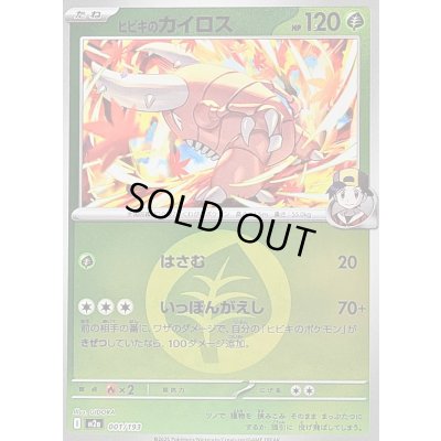 画像1: 〔状態B〕ヒビキのカイロス(草エネルギーミラー)【-】{001/193}