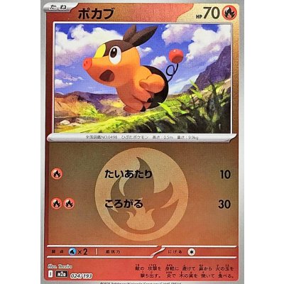 画像1: 〔状態A-〕ポカブ(炎エネルギーミラー)【-】{024/193}