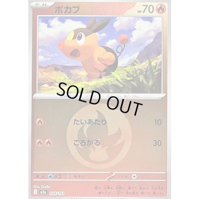 画像1: 〔状態B〕ポカブ(炎エネルギーミラー)【-】{024/193}