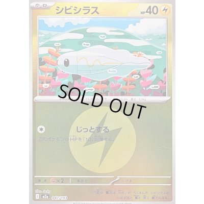 画像1: 〔状態B〕シビシラス(雷エネルギーミラー)【-】{047/193}