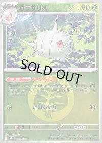 〔状態B〕カラサリス(草エネルギーミラー)【-】{005/193}