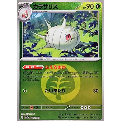 画像1: 〔状態A-〕カラサリス(草エネルギーミラー)【-】{005/193}