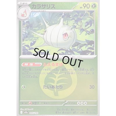 画像1: 〔状態B〕カラサリス(草エネルギーミラー)【-】{005/193}