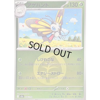 画像1: 〔状態B〕アゲハント(草エネルギーミラー)【-】{006/193}