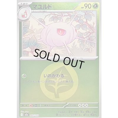 画像1: 〔状態B〕マユルド(草エネルギーミラー)【-】{007/193}